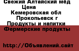 Свежий Алтайский мёд › Цена ­ 1 300 - Кемеровская обл., Прокопьевск г. Продукты и напитки » Фермерские продукты   